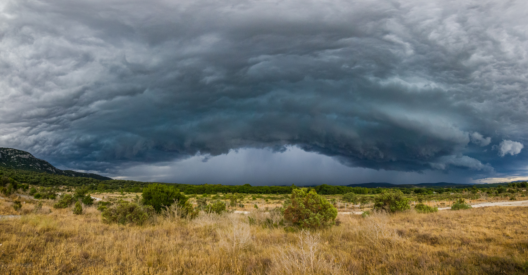 Arcus